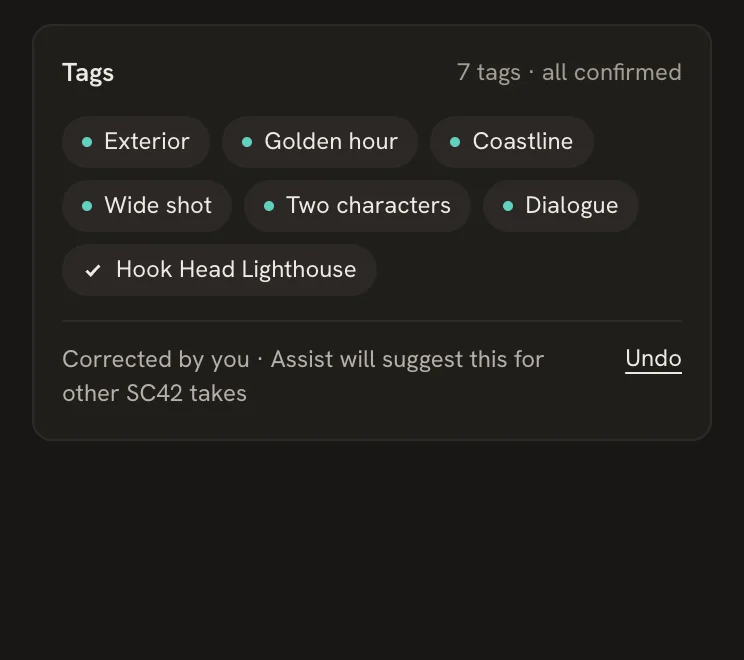 The corrected tag marked with a check, and a note that Assist will suggest it for other takes, with Undo.